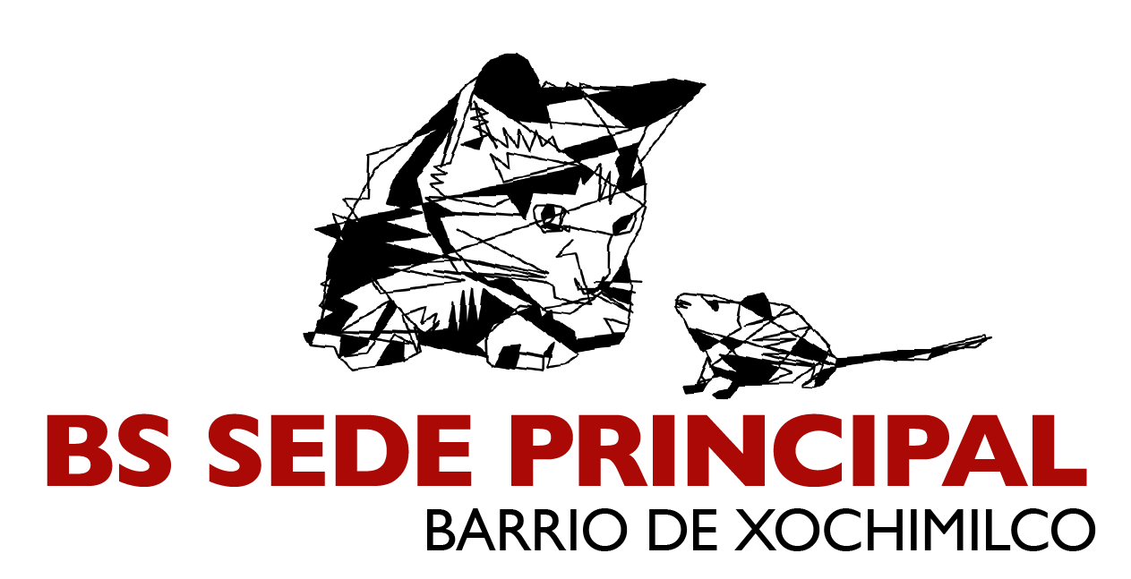Titulo Xochimilco 2