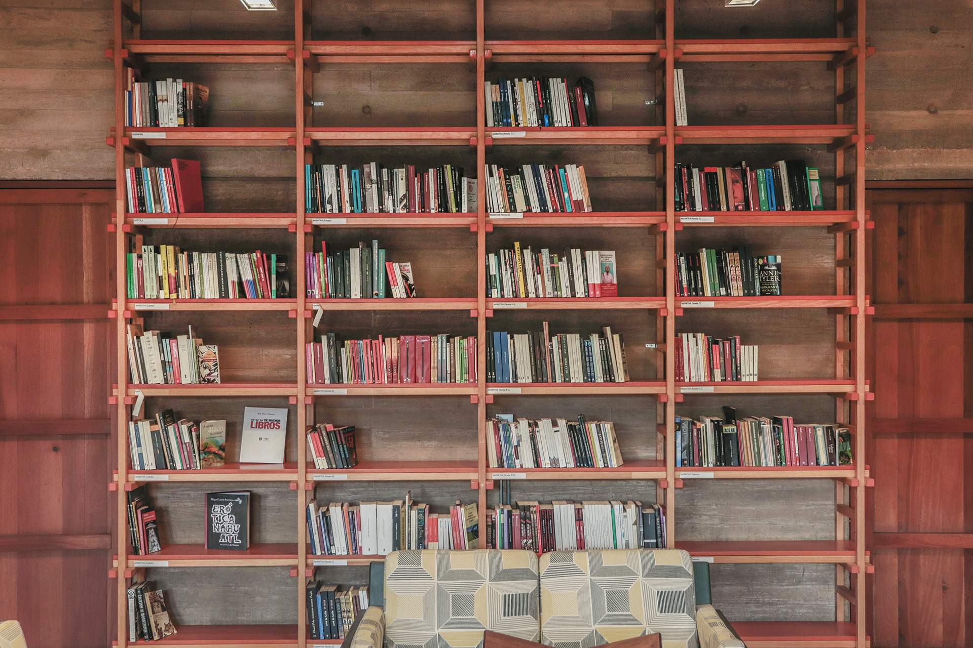 Cantera jovenes y adultos